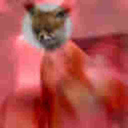 beatofan420-blog avatar