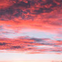 beatty-about-books avatar