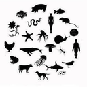 beautiful-biotic-factors avatar