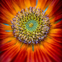 beautiful-color-pictures-blog avatar