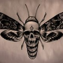 beautiful-corruption avatar