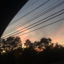 beautiful-damned avatar