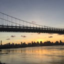 beautiful-disaster-x3 avatar