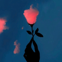 beautiful-disasterer avatar