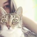 beautiful-disasters-dostupidshit avatar