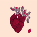 beautiful-eclipse avatar