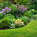 beautiful-gardens-com-blog avatar