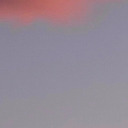 beautiful-mind-3107 avatar