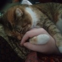 beautiful-mist avatar