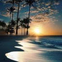 beautiful-moderation avatar