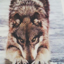 beautiful-smiles-wonderful-tears avatar