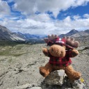 beautiful-uneven-minds avatar