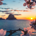 beautiful-world-xox-blog avatar