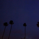 beautiful08200-blog avatar