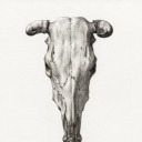 beautifulandbored avatar