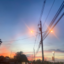 beautifulapricothoagiezonk avatar