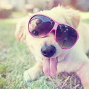 beautifulbattlescars avatar