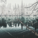 beautifulbeauty avatar