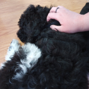 beautifulcrownobserves avatar