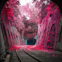 beautifuldepression99 avatar