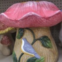 beautifuldragontragedy avatar