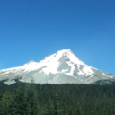 beautifulephemera avatar