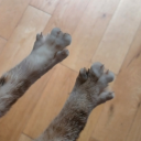 beautifulf-art-galaxy avatar