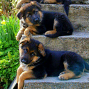 beautifulgreeneyedbeauty-blog avatar