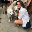 beautifuliarrs avatar