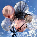 beautifullifeofsweetgirl avatar