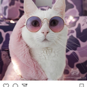 beautifully--wasted avatar