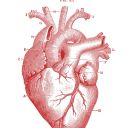 beautifullybrilliant avatar