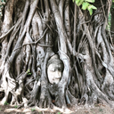 beautifullycharming avatar