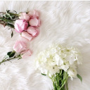 beautifullycolored avatar