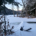 beautifullydeceived avatar