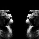 beautifullyput avatar