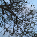 beautifullyquirky avatar