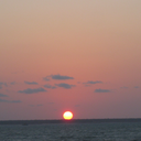 beautifulobservations01 avatar