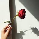 beautifulpurityy avatar