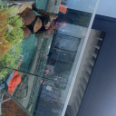 beautifulsdot avatar