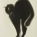 beautifulsoulshunter avatar