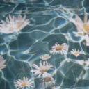 beautifulsxul-blog1 avatar