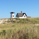 beautifulwords716 avatar