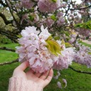 beautifulworldonelife avatar