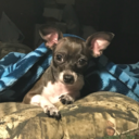 beautifulxbeast avatar