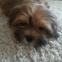 beauty-and-beyond18 avatar