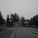 beauty-good-truth avatar