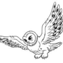 beauty-owls avatar