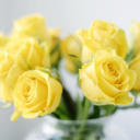 beauty-reminder avatar