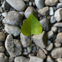 beautyandcuriosity avatar